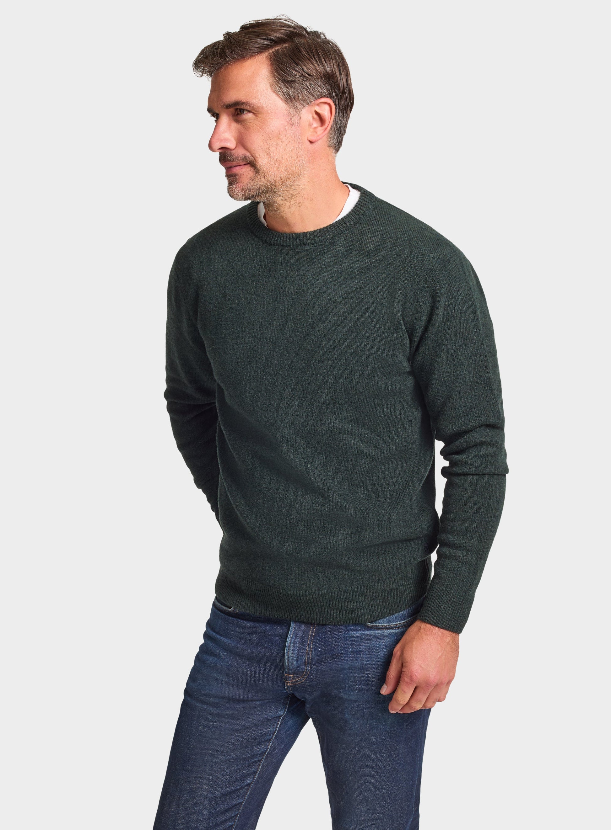 Lambswool Crew Neck in Sage