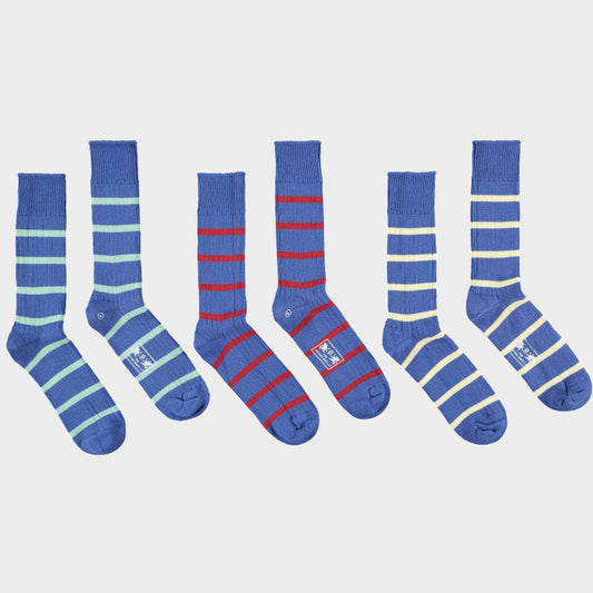 3 Pack of Socks in Royal Blue Stripes